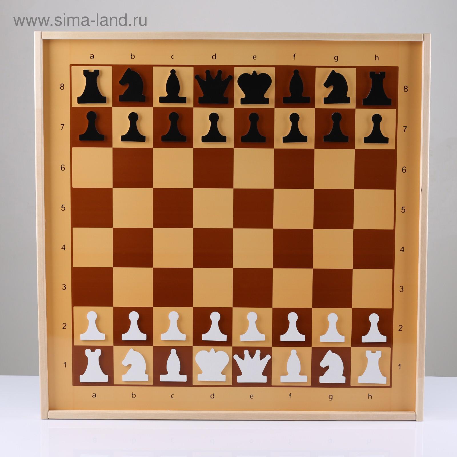 Картинка Шахматы и шашки демонстрационные магнитные 73х73х3.5 см
